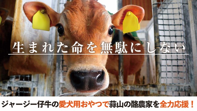 蒜山(ひるぜん)酪農を全力応援！岡山の自然食ドッグフード「ドットわん」が、 6月13日からREADYFOR にてクラウドファンディング開始