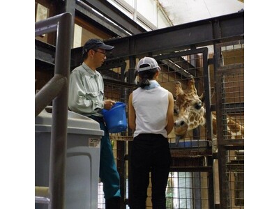 【徳島市】とくしま動物園 STELLA PRESCHOOL ANIMAL KINGDOM　サマースクールを開催！！