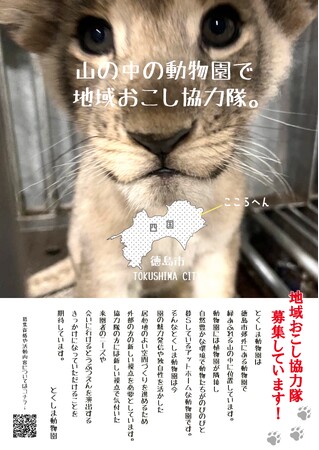 とくしま動物園　地域おこし協力隊を募集！
