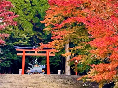 霧島の紅葉スポット紹介！11月上旬頃から鹿児島県霧島市各地で紅葉が見頃を迎えます。
