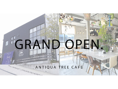 リニューアルした「ANTIQUA TREE CAFE」が4月2日(火)にグランドオープンを迎えました。フ...