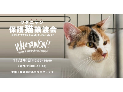 ワタワンに猫ちゃん大集合♪新しい家族との出会いを待っています。11月24日(日)第４回『ワタニャン保護猫譲渡会』開催！ふれあいコーナーやオリジナルグッズ販売も！