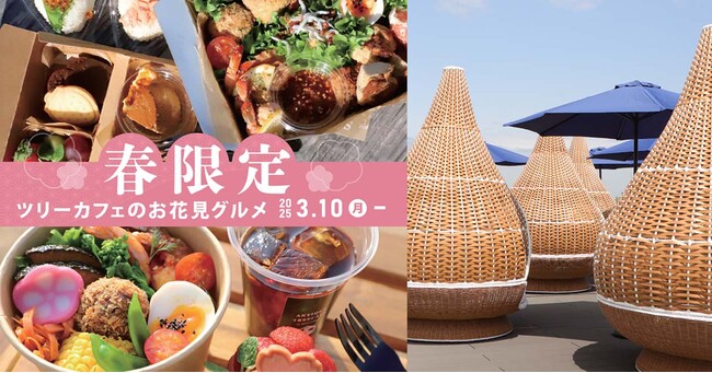 【春限定】ツリーカフェの「お花見ランチBOX」登場！ピクニック気分を盛り上げる華やかテイクアウト♪