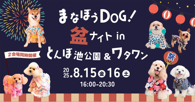 犬と月　ボディボード 2枚セット　大阪手渡し可能！ ボディボード 2枚セット！ 大阪手渡し可能 送料無料です