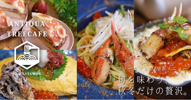 この秋冬だけの特別な一皿を。ANTIQUA TREE CAFE 秋冬限定メニュー新登場！10/1解禁。