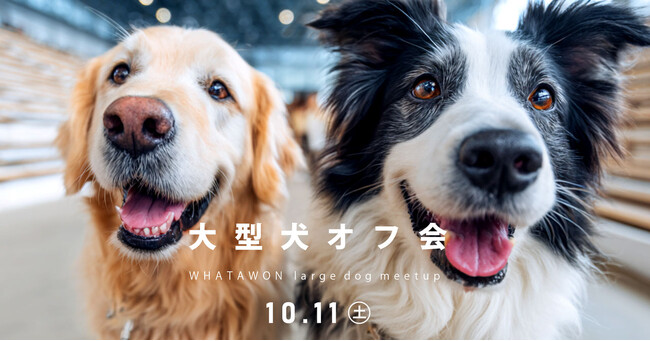 10月11日(土)は愛犬と一緒に！参加無料の＼第2回 大型犬オフ会 in WHATAWON／開催！！