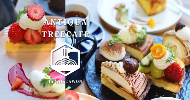 大阪・WHATAWONのカフェから冬のごちそう。焼きたてパイ×本格ビーフシチュー提供開始