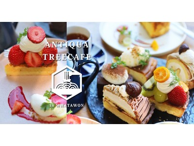 大阪・WHATAWONのカフェから冬のごちそう。焼きたてパイ×本格ビーフシチュー提供開始