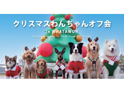 開催迫る！愛犬と行けるクリスマス！小型犬・大型犬別で楽しめるWHATAWONドッグラン【大阪】