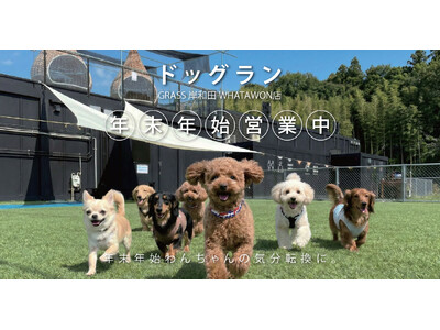 お正月も利用可能に！ドッグラン開放で叶える、わんちゃんと過ごす特別な年末年始。