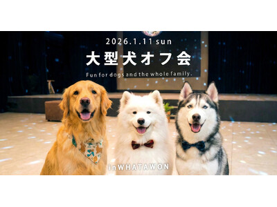 1月11日「わんわんわんの日」に開催！WHATAWONの大型犬向け室内オフ会【大阪・岸和田／参加費無料】
