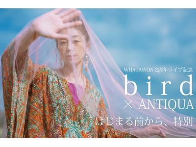 bird�̉̐����܂Ƃ��BANTIQUA��WHATAWON 2���N���C�u�L�OLOOKBOOK�����J