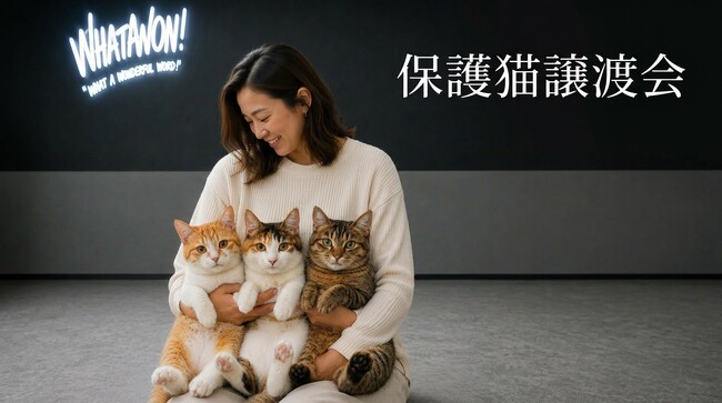 “運命の出会い”を待つ猫たちが、WHATAWONへ。保護猫譲渡会を5月24日開催