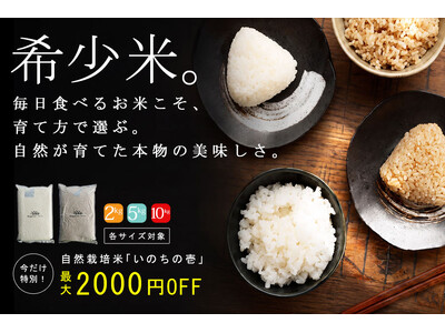 ファッションブランドantiqua、希少な自然栽培米『いのちの壱』を販売。"本当に良いもの"を食卓にも。