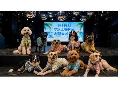 猛暑でも大型犬と快適に遊べる。WHATAWONが室内イベント「ワン上等Fes Summer Party」を8月29日開催
