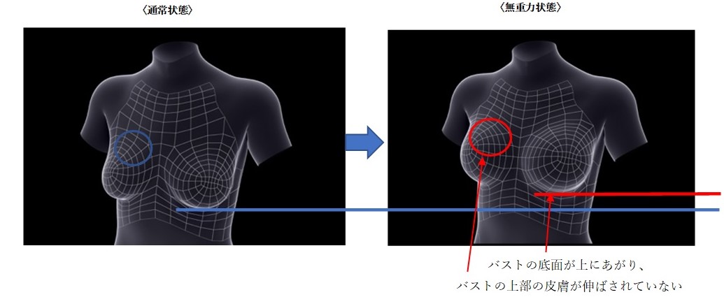 新研究！重力からバストを守るということ   日本初「無重力実験」によるバスト計測で判明！無重力状態でのバストは丸くなり、皮膚が伸ばされてない。