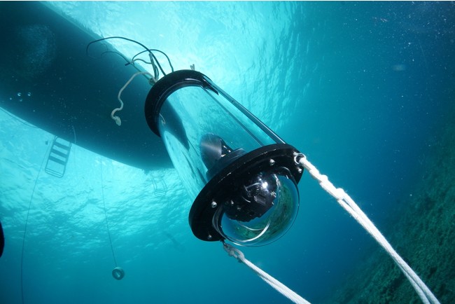 {B̌ł̉^pAgsǋJuāv̔JnbА