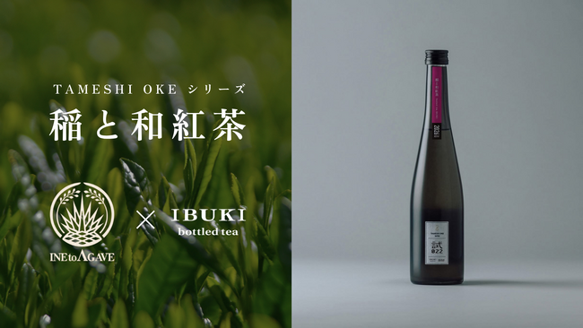 稲とアガベが、最高級ボトリングティーブランド「IBUKI」の和紅茶茶葉を使用したクラフトサケを新発売
