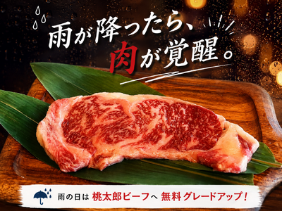 雨の日だから泊まろう！！BBQのお肉が「桃太郎ビーフ」に無料グレードアップ！「雨が降ったら、肉が覚醒。」キャンペーンをSORANIAで開催