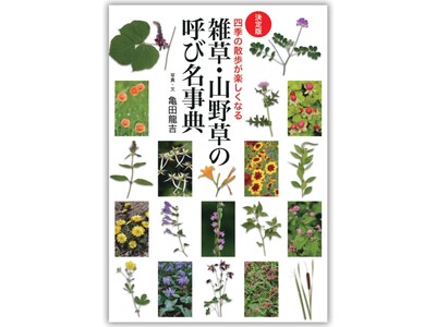 「あの花、名前は何だろう？」 植物観察に興味を持った方へ、最初の1冊に最適な書籍『決定版　雑草・山野草の...