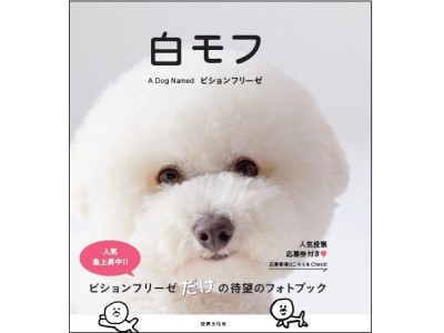 2018年人気No１犬に!? 話題の「 #白モフ」ビションフリーゼ  待望の写真集誕生！