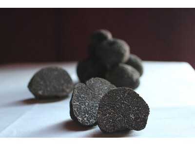 冬を彩る「黒トリュフガラディナー」を全国のひらまつレストランで開催。シェフ達のコラボレーションや老舗酒蔵の日本酒ペアリングを愉しむ特別なイベントも。