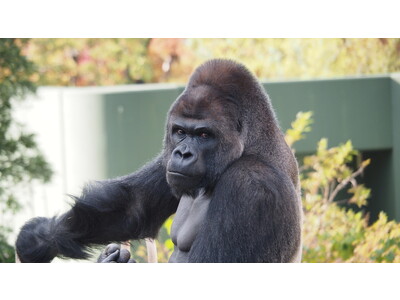 名古屋観光ホテルは『なごやTRIP』の拠点に！【水族館】や【動植物園】、【名古屋城】など名古屋の観光名所をめぐる夏休み向け宿泊プランが続々登場
