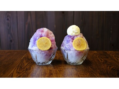 鎌倉の紫陽花シーズン目前！ はちみつレモンのシロップをかけて色の変化を楽しむ「紫陽花レモン かき氷」、「紫陽花レモン クリームかき氷」が登場