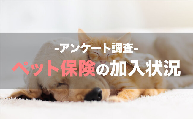 犬・猫の飼い主『ペット保険に入っていない理由』1位「保険料が高すぎる」2位「選び方が分からない」【ペット保険の加入状況 アンケート調査】