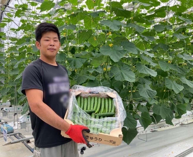 タカミヤの愛菜、「羽生愛菜プロジェクト」2期目のきゅうり収穫を実施　販売先が3社に拡大し、2023年6月までに収穫量計234トンを目指す