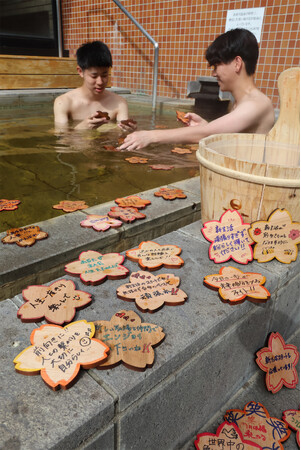 お丸山ホテル、春爛漫のさくら市で「桜プロジェクト」開始。さくら市ならで…