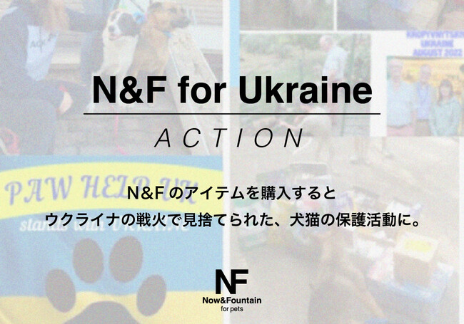 【ウクライナ犬猫支援】本革犬具ブランド[N&F for pets]を購入すると、ウクライナの犬猫保護活動に寄付する連携事業を開始。のメイン画像