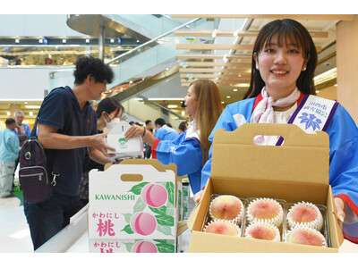 川西特産の早生桃が食べ頃 即売会は1時間で完売 / 兵庫県川西市
