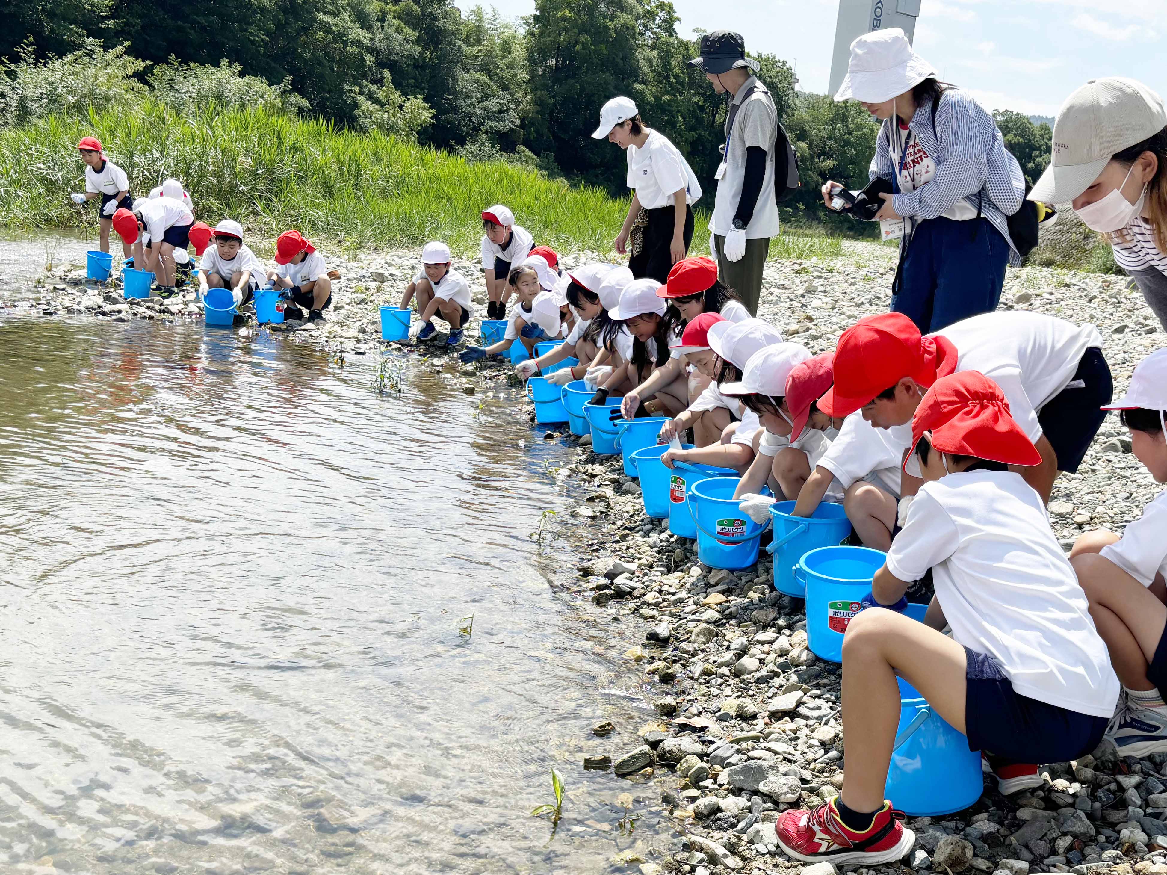 多田地区の小学生・幼稚園児がアユの稚魚を放流 / 兵庫県川西市