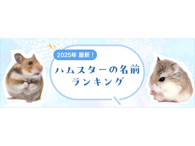 【2025年最新】ハムスターの名前ランキングを発表！