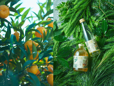 中川政七商店×日本草木研究所 初コラボ7月31日発売。日本最古の森を飲む「奈良の森シロップ・サイダー」