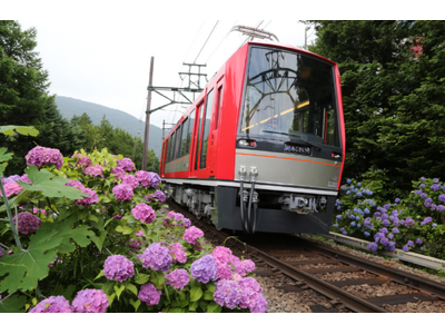 箱根の風物詩　初夏の観光列車が今年も運行決定！座席指定列車「夜のあじさい号」を６月１５日(土)より運行します！