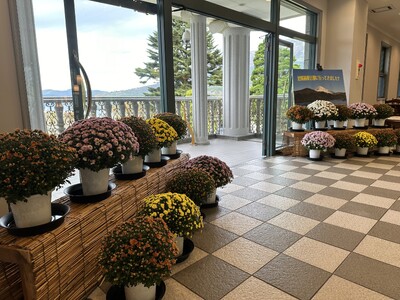恩賜箱根公園 恒例イベント「秋のざる菊展示」を開催します！