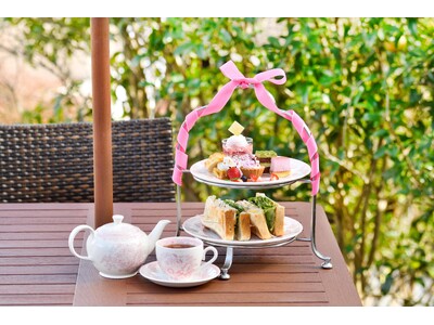 箱根強羅公園で春を満喫！