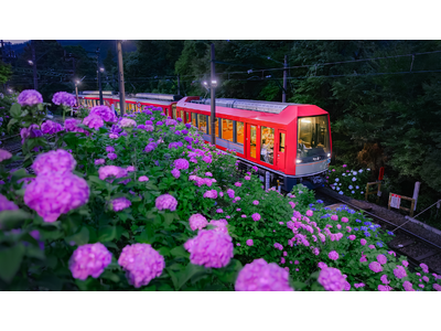箱根の夏の風物詩　ライトアップされたあじさいを楽しむ特別列車が今年も運行決定！6月１３日（土）から座席指定列車「夜のあじさい号」を運行します