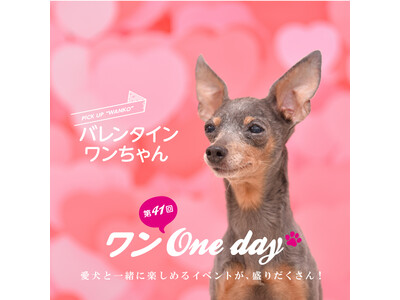 【湘南T-SITE】“バレンタインワンちゃん”集まれ。「ワン One day！」を2/4(日)に開催