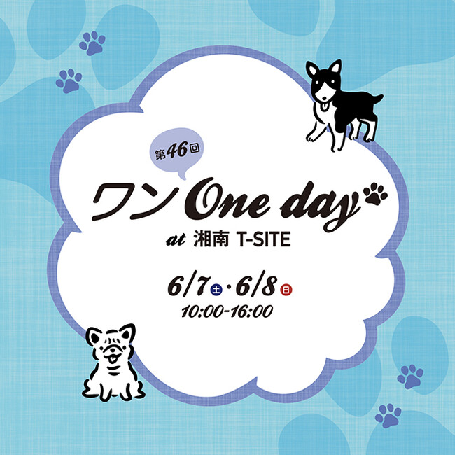 【湘南T-SITE】愛犬と1日楽しめる屋外イベント「ワン One day!」を6/7(土)、8(日)に開催