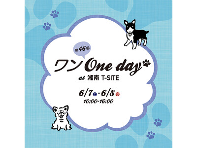 【湘南T-SITE】愛犬と1日楽しめる屋外イベント「ワン One day!」を6/7(土)、8(日)に開催
