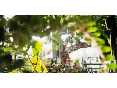 【柏の葉T-SITE】グリーンライフスタイル専門店「SOW the Farm UNIVERSAL KAS...