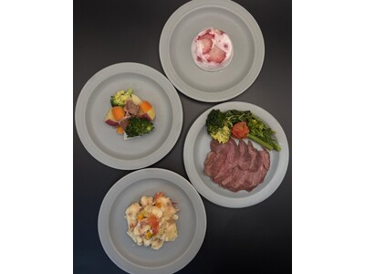 「野寛 伊勢鳥羽-NOKAN-」ヒューマングレードのわんちゃんご飯【オリジナル新メニュー予約受付を開始】