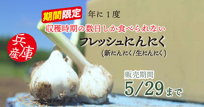 食べられるのはこの時期だけ！ナカバヤシ“やぶひこ フレッシュにんにく（新にんにく/生にんにく）”の販売予約受付を当社運営ECサイトで開始