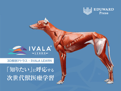 3D解剖アトラス「IVALA LEARN」、全国の獣医療系学生を対象に無料提供開始