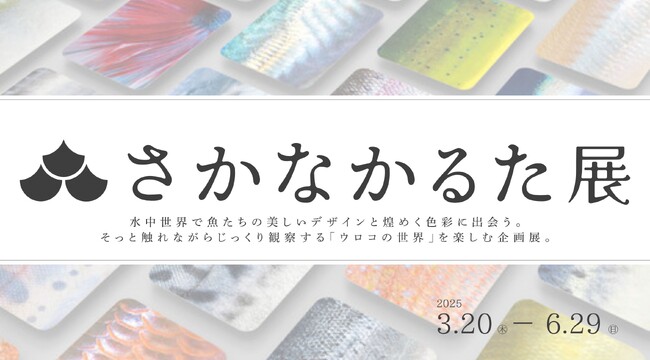 魚のキラめき、ウロコを再現した「さかなかるた」60種を拡大展示『さかなかるた展』開催