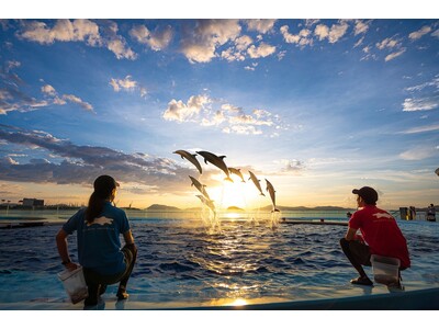 特別なひとときをお過ごし下さい　四国水族館で夜の水族館『Nightscapeこがねいろ2026 G.W.』 を開催