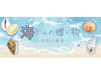 貝の魅力に触れてみませんか？四国水族館でミニ企画展『海からの贈り物～四国の巻貝～』開催中